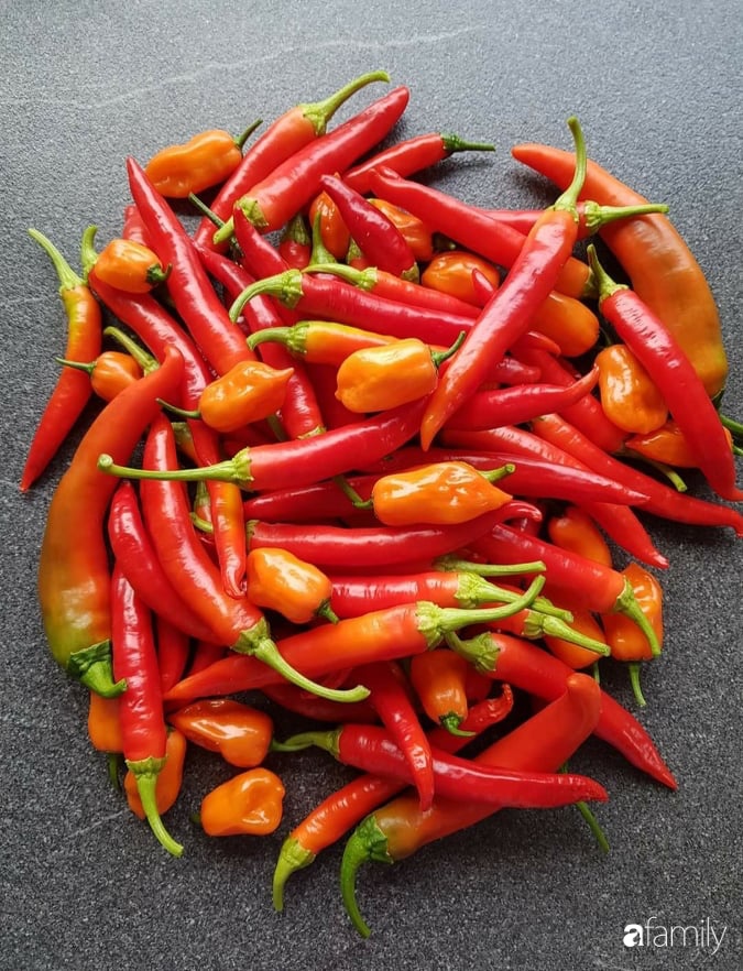 Khu vườn với đủ loại hoa thơm và trái ngọt của mẹ đảm quê Long An-26