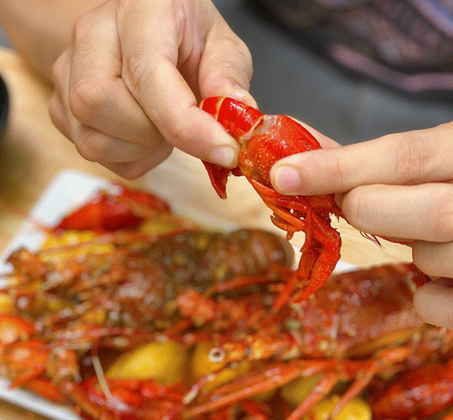 Cấm nhập hàng sống, tôm hùm đất bỗng hot trở lại bị dân sành ăn săn lùng-2