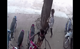 Clip: Pha hoán đổi xe vi phạm ranh ma của 2 thanh niên và sự nhầm lẫn của CSGT-1