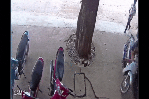 Clip: Pha hoán đổi xe vi phạm ranh ma của 2 thanh niên và sự nhầm lẫn của CSGT