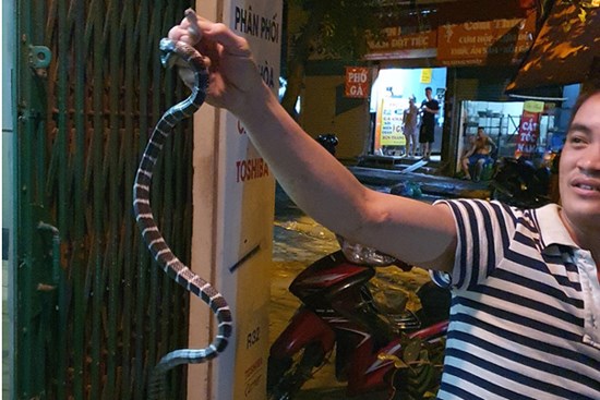 Hết hồn phát hiện bé Na thập thò nơi khe cửa sau khi bỏ lại chiếc vỏ trong nhà, lại còn diện 