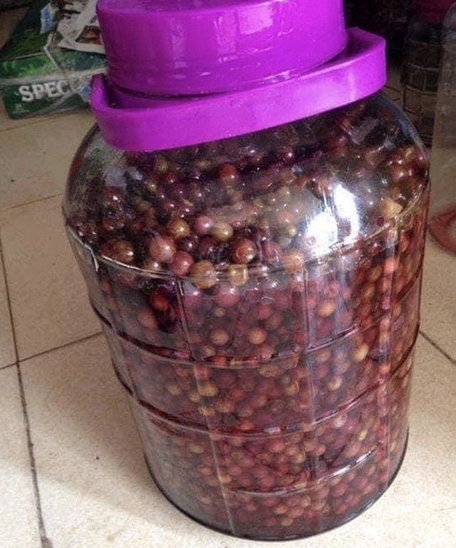 Chán nho ngoại, giới sành ăn lùng mua nho dại mọc trong rừng-2