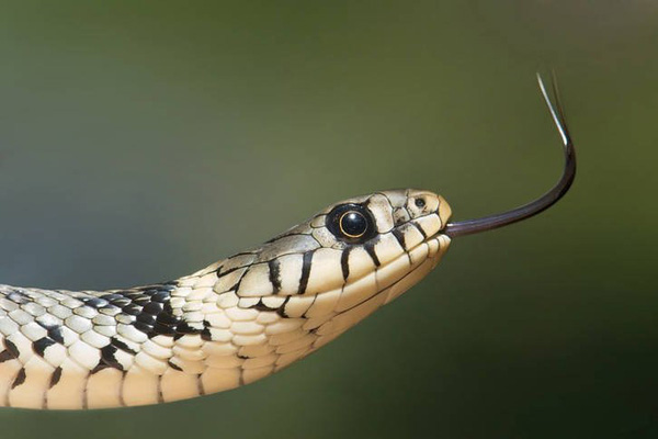 Cảnh tượng 2 bé Na nhảy múa uốn éo trong sân vườn trông hài hước nhưng khi nhân chứng tiết lộ lý do lập tức khiến dân mạng hãi hùng-4