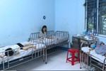 Khánh Hoà: Ăn ốc biển lạ, 1 người tử vong, 2 người nhập viện cấp cứu-2
