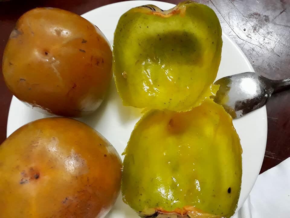 Hồng da tre mỗi năm có 1 tháng vào vụ, giá 80 ngàn/kg vẫn không có hàng bán vì khách đặt trước làm quà biếu Trung thu-6