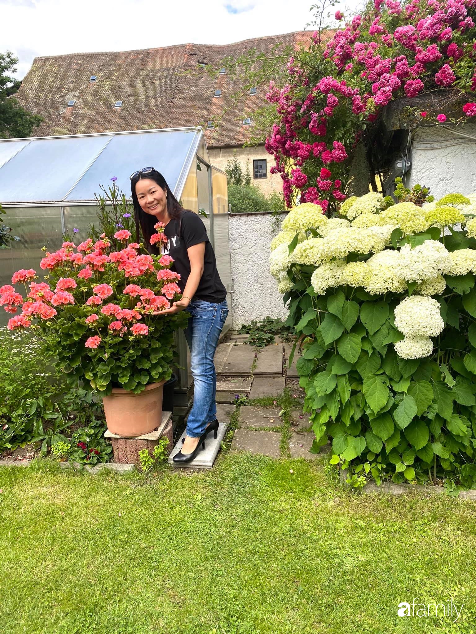 Khu vườn 200m² quanh năm xanh tươi với đủ loại rau quả sạch của mẹ Việt có thâm niên 7 năm làm vườn-1