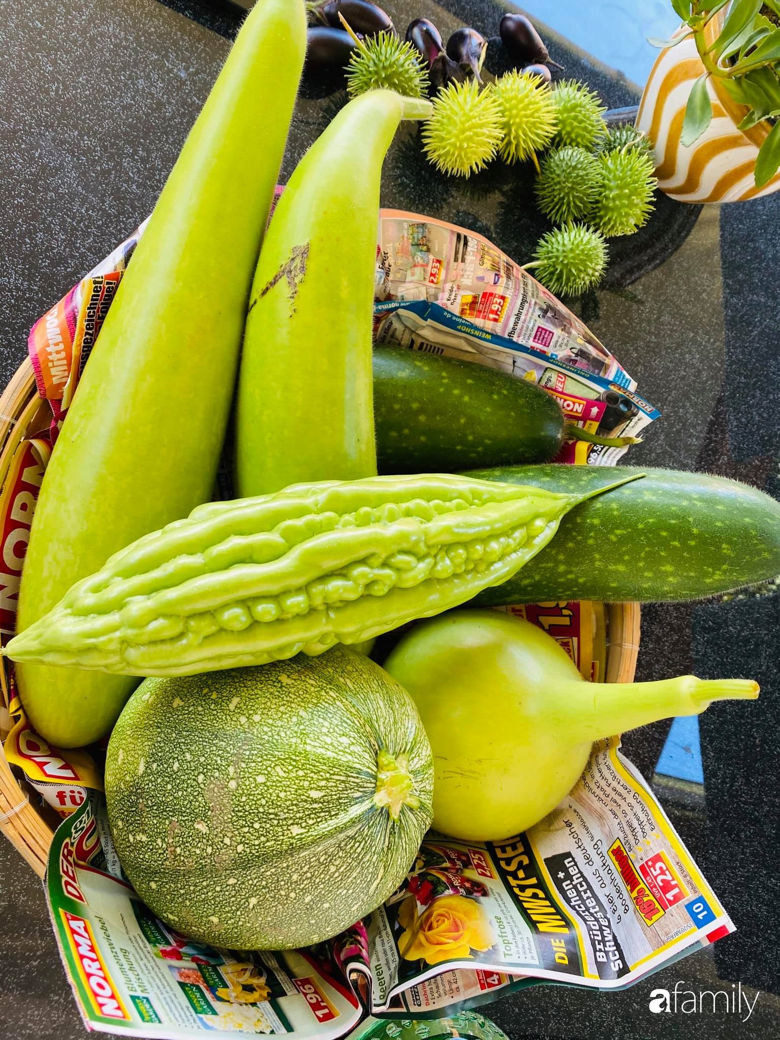 Khu vườn 200m² quanh năm xanh tươi với đủ loại rau quả sạch của mẹ Việt có thâm niên 7 năm làm vườn-19