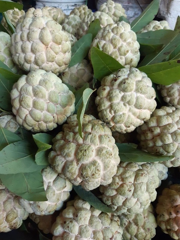 Thứ từng thất sủng bỗng thành hàng hiếm, 4 triệu/kg đặt trước mới có-2