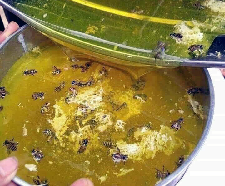 Đặc sản cao nguyên đá Hà Giang, hàng hot giá đắt gấp đôi-2