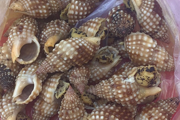 Bé gái qua đời, cả chung cư ở Trung Quốc phải bồi thường-3