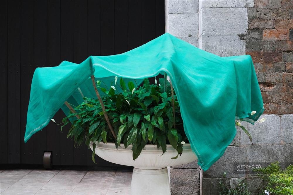 Nghe 2 bạn trẻ kể chuyện từng tự tử và trải nghiệm cảm giác cận kề cái chết: Muốn chết cũng khó lắm, cứ chai mặt sống đi rồi mọi việc sẽ ổn cả-4