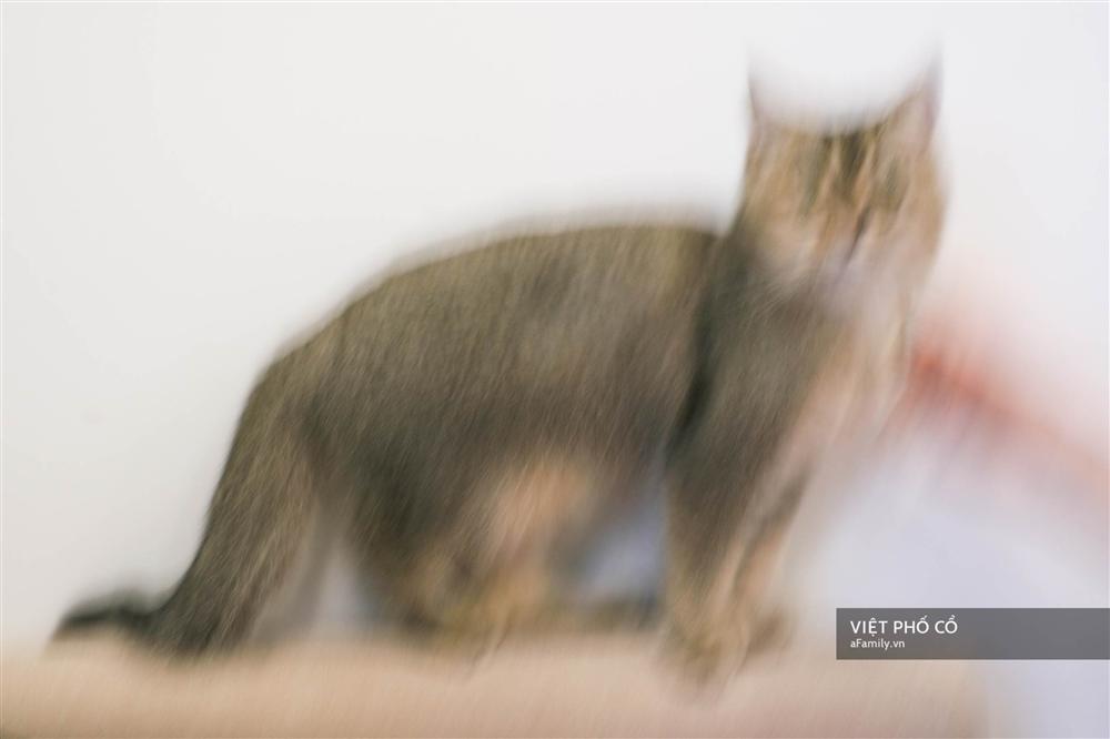 Nghe 2 bạn trẻ kể chuyện từng tự tử và trải nghiệm cảm giác cận kề cái chết: Muốn chết cũng khó lắm, cứ chai mặt sống đi rồi mọi việc sẽ ổn cả-5