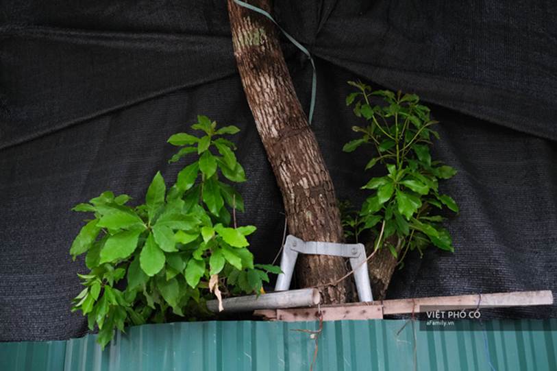 Nghe 2 bạn trẻ kể chuyện từng tự tử và trải nghiệm cảm giác cận kề cái chết: Muốn chết cũng khó lắm, cứ chai mặt sống đi rồi mọi việc sẽ ổn cả-11