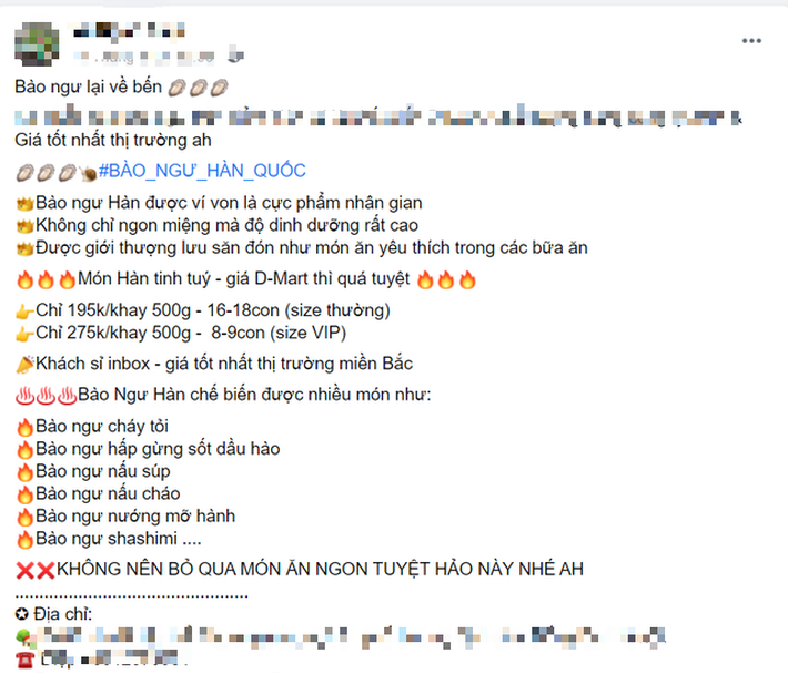 Tôm hùm rớt giá chưa từng có, bào ngư giá rẻ chỉ 15.000 đồng/con-2