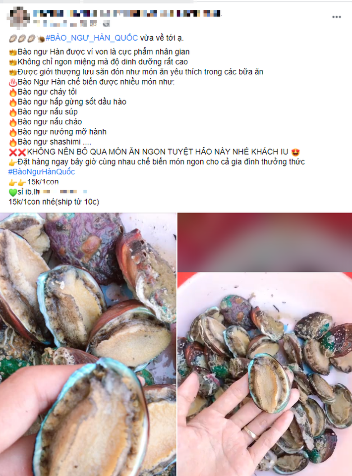 Tôm hùm rớt giá chưa từng có, bào ngư giá rẻ chỉ 15.000 đồng/con-3