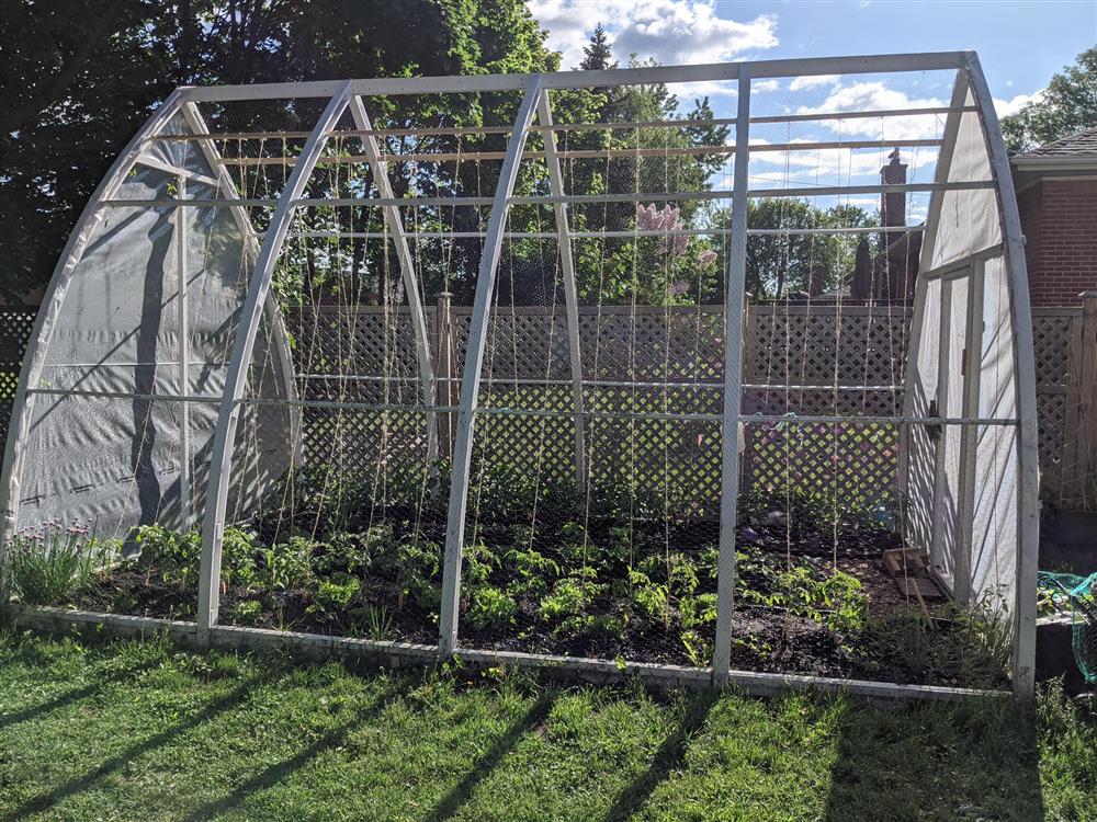 Sau 5 năm nỗ lực trồng rau quả sạch cho hai con trai thưởng thức, mẹ đảm đã thu lại những thành quả bất ngờ-2