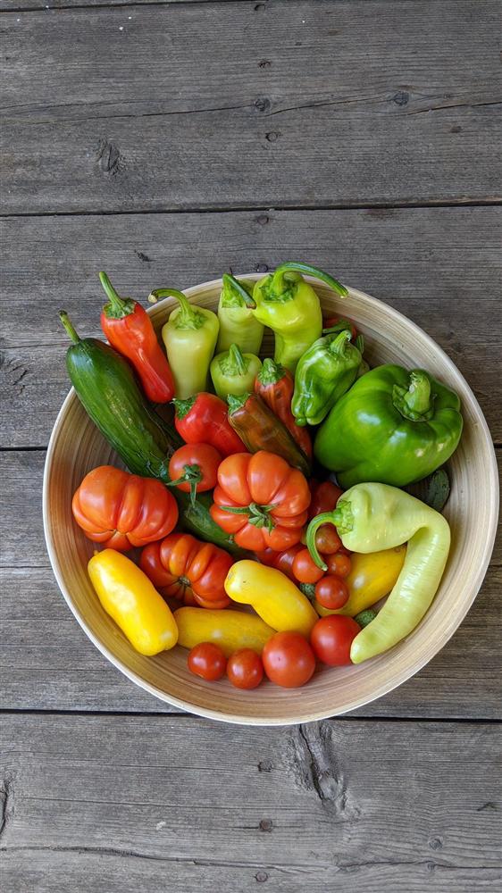 Sau 5 năm nỗ lực trồng rau quả sạch cho hai con trai thưởng thức, mẹ đảm đã thu lại những thành quả bất ngờ-8