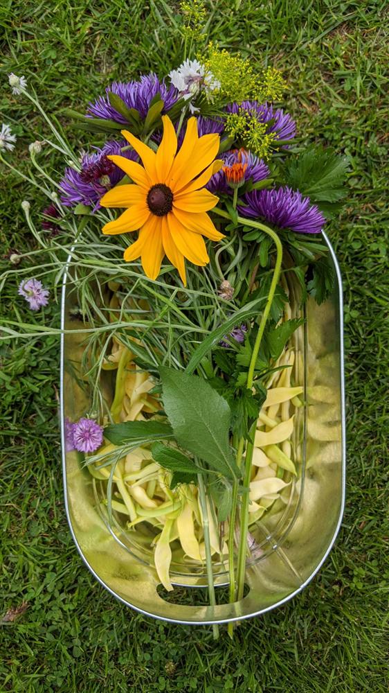 Sau 5 năm nỗ lực trồng rau quả sạch cho hai con trai thưởng thức, mẹ đảm đã thu lại những thành quả bất ngờ-10