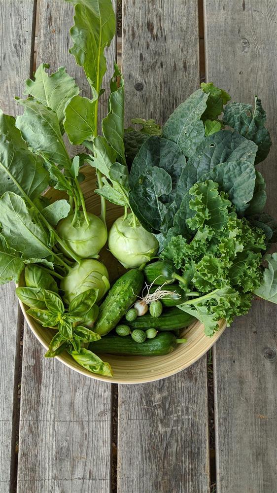 Sau 5 năm nỗ lực trồng rau quả sạch cho hai con trai thưởng thức, mẹ đảm đã thu lại những thành quả bất ngờ-20