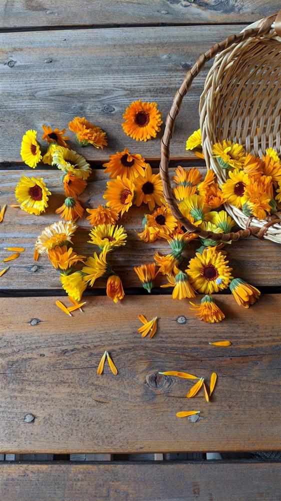 Sau 5 năm nỗ lực trồng rau quả sạch cho hai con trai thưởng thức, mẹ đảm đã thu lại những thành quả bất ngờ-22