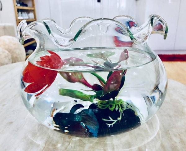 2 hoa hậu xuất thân nghèo khó ở nhà lụp xụp, giờ đổi đời, sống nơi sang chảnh khó tin-11