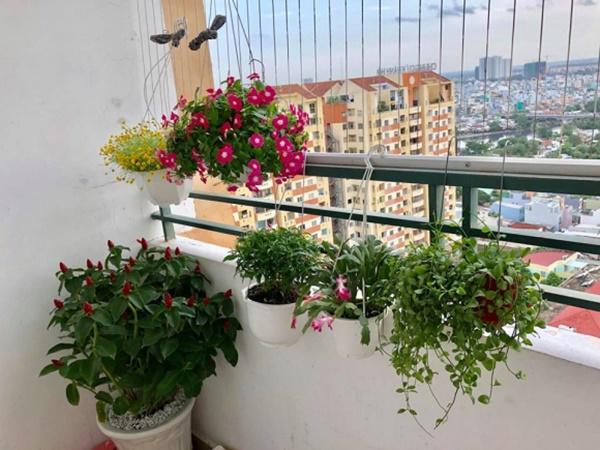 2 hoa hậu xuất thân nghèo khó ở nhà lụp xụp, giờ đổi đời, sống nơi sang chảnh khó tin-12