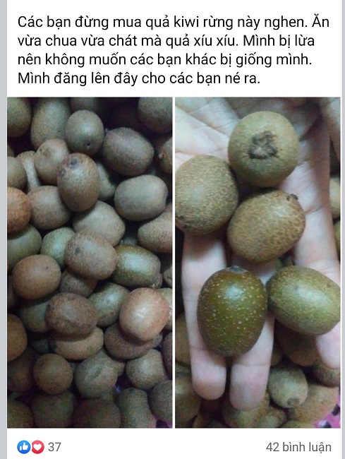 Ham của lạ, chị em đặt mua Kiwi rừng tí hon và cái kết cười ra nước mắt”-4