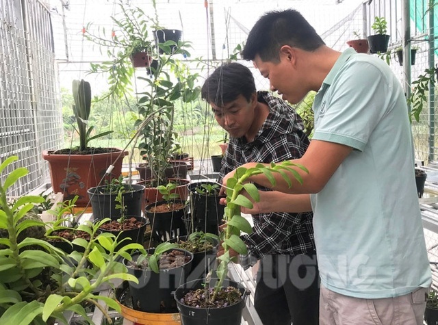 Nhận trái đắng vì muốn giàu nhanh từ những giao dịch lan đột biến-1