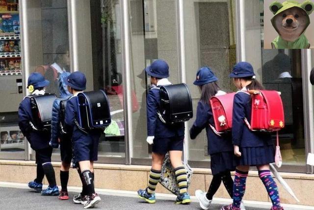 Vì sao cặp học sinh tiểu học Nhật Bản có giá hơn 30 triệu VNĐ? Bí ẩn bên trong đáng kinh ngạc, thời điểm mấu chốt có thể biến thành vật cứu thân-5