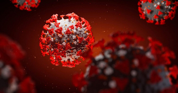 Phát hiện kháng thể có thể vô hiệu hóa hoàn toàn” virus SARS-CoV-2-1