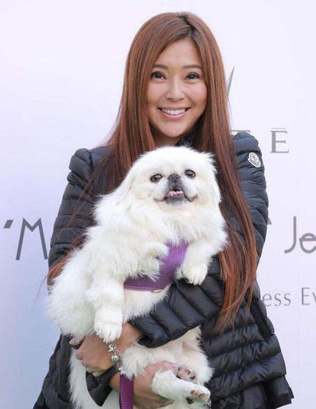 Mỹ nhân Thần Điêu Đại Hiệp: Bỏ sự nghiệp vì đại gia, 9 năm yêu trai trẻ, tuổi 50 ra sao?-8