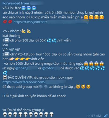 SỐC: Phát hiện phòng chat bí mật chuyên chia sẻ clip khiêu dâm trẻ em thu phí thành viên, đặc biệt có cả trẻ Việt Nam-2