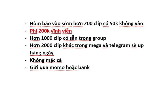 SỐC: Phát hiện phòng chat bí mật chuyên chia sẻ clip khiêu dâm trẻ em thu phí thành viên, đặc biệt có cả trẻ Việt Nam-3