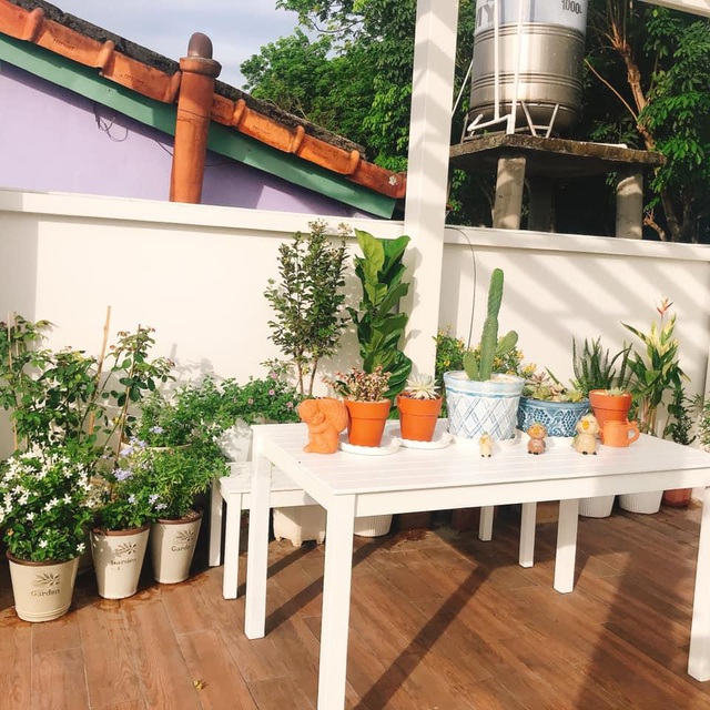 Biệt thự nhà vườn ngập tràn các loại hoa của gia đình ở Bình Dương-6