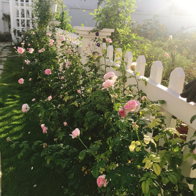 Biệt thự nhà vườn ngập tràn các loại hoa của gia đình ở Bình Dương-12