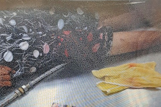 Tìm thân nhân cụ bà nhặt ve chai bị 2 ô tô tông chết ở Biên Hòa