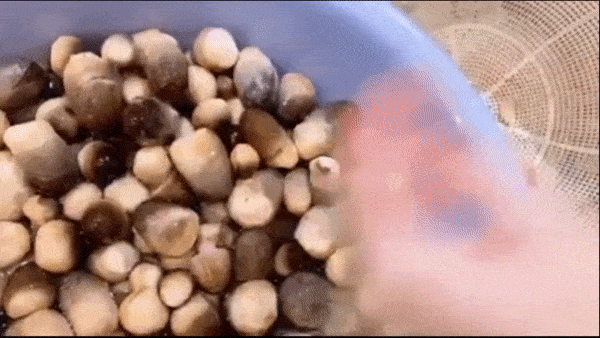 Elly Trần chia sẻ bí kíp bảo quản nấm rơm siêu nhanh mà tiện lợi giúp chị em hiện đại vẫn chuẩn đảm đang mà lại có thời gian làm đẹp-3