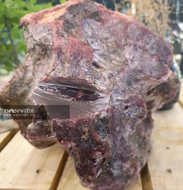 Vô tình vớ được cục đá lạ nghi long diên hương, chủ nhân bán vội cũng được tiền tỷ-1