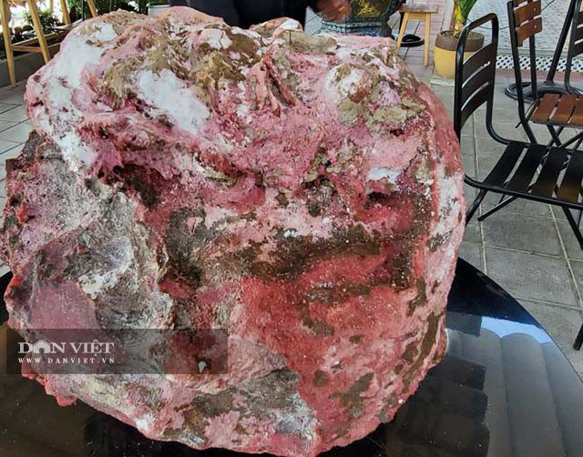 Vô tình vớ được cục đá lạ nghi long diên hương, chủ nhân bán vội cũng được tiền tỷ-2