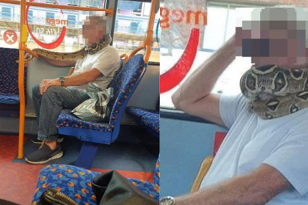 Người đàn ông cứu sống con trăn nhỏ bị thương rồi giữ làm vật nuôi, 5 năm sau nhờ con vật mà gia đình 3 người thoát nạn-4