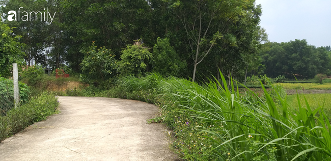 Anh em chém nhau nguy kịch vì cho mượn sổ đỏ để vay ngân hàng rồi bị siết nợ-2