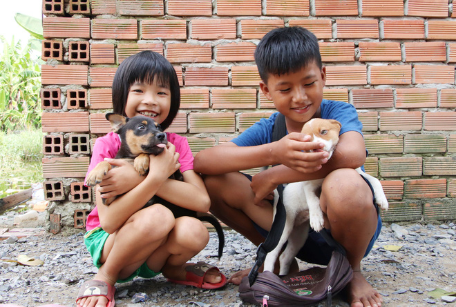 Cha lấy vợ khác, mẹ bỏ đi, 4 đứa trẻ thất học đội nắng bán vé số kiếm tiền chữa bệnh cho người ông bại liệt-14