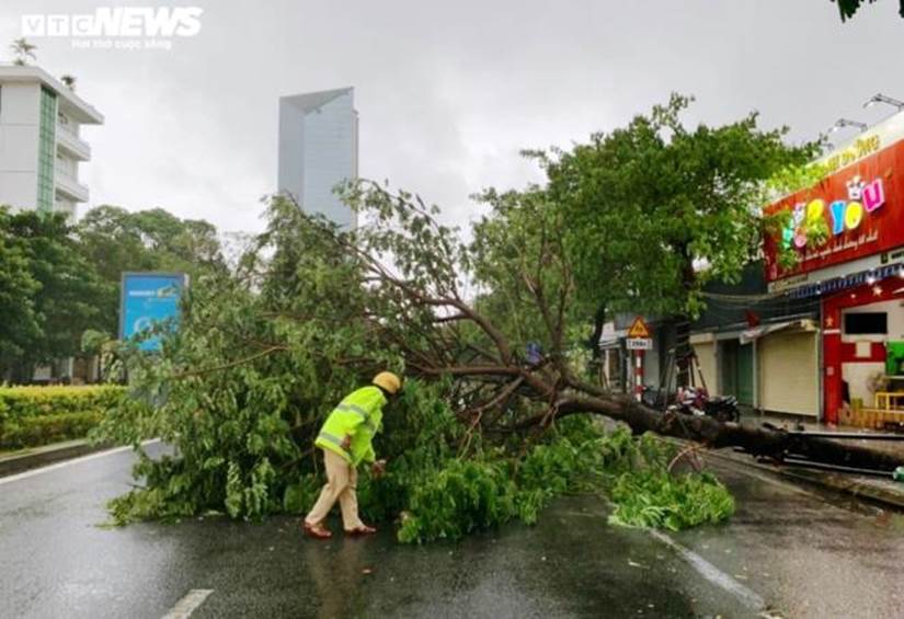 Bão số 5 áp sát: Lốc xoáy quật đổ cây ở Huế, Đà Nẵng mưa lớn kèm sấm chớp-2