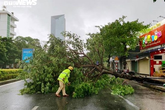 Bão số 5 áp sát: Lốc xoáy quật đổ cây ở Huế, Đà Nẵng mưa lớn kèm sấm chớp