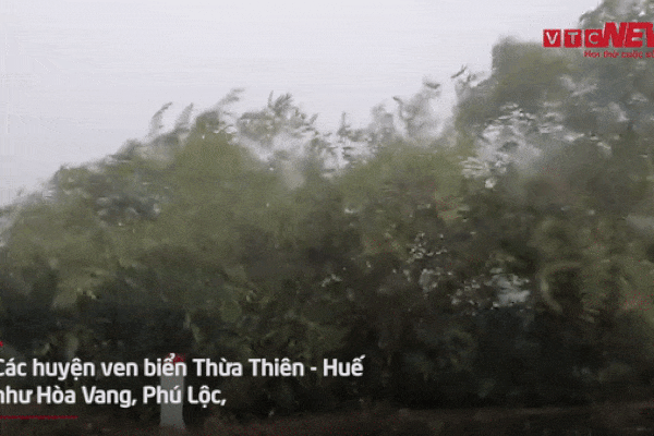 Video: Mưa rất to, gió giật mạnh ở các huyện ven biển Thừa Thiên - Huế