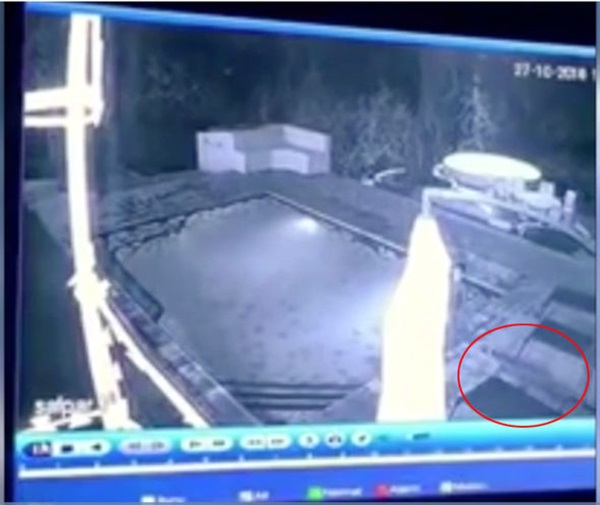 Đang tình bể bình dưới hồ bơi thì cá sấu xuất hiện, đôi nam nữ cuống cuồng tháo chạy nhưng hành động của chàng trai khiến dân mạng phẫn nộ-1