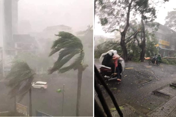 Clip: Người Đà Nẵng thích thú mang rổ ra đường phố bắt cá sau bão số 5-7