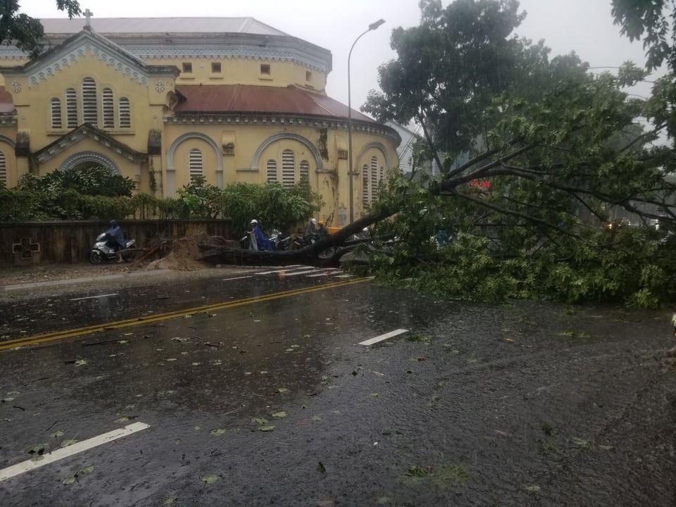Ảnh, clip: Bão số 5 đổ bộ vào Thừa Thiên Huế gây mưa to gió giật kinh hoàng quật đổ cây xanh, giao thông hỗn loạn-12