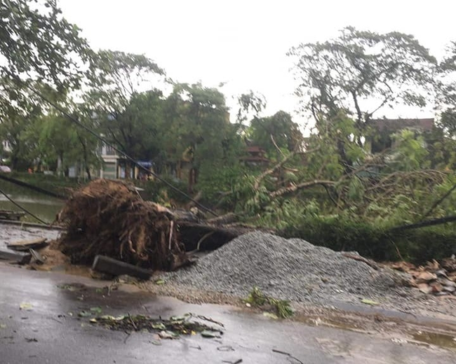 Ảnh, clip: Bão số 5 đổ bộ vào Thừa Thiên Huế gây mưa to gió giật kinh hoàng quật đổ cây xanh, giao thông hỗn loạn-6