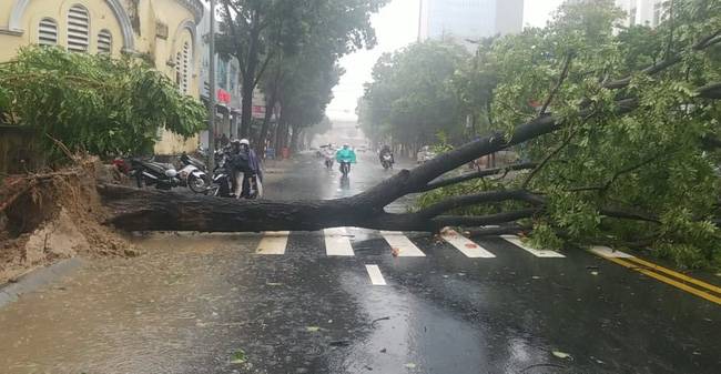 Ảnh, clip: Bão số 5 đổ bộ vào Thừa Thiên Huế gây mưa to gió giật kinh hoàng quật đổ cây xanh, giao thông hỗn loạn-5
